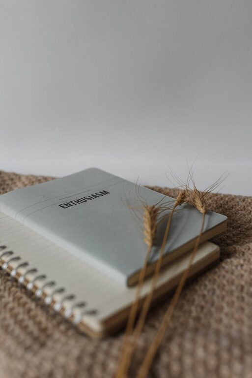 How to Start a Gratitude Journal for a Happier Life